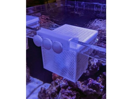 pendre aquarium isolement panier mur montage dajma 3d print model - Mito3D
