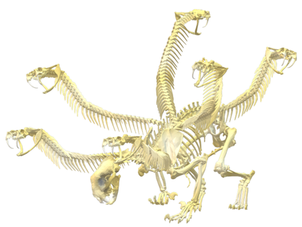 kamadan esqueleto sleyvas 3d print model - Mito3D