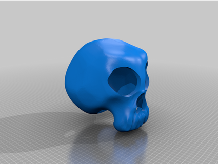 skull reptile hide spuzzle 3d print model - Mito3D