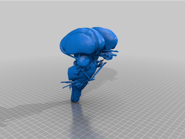 brainstem cranial nerves grandandrei 3D print model - Mito3D