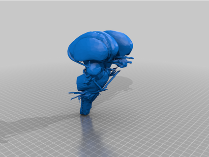 brainstem cranial nerves grandandrei 3d print model - Mito3D