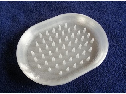 spiky soap dish 3dp freiberg 3d print model - Mito3D
