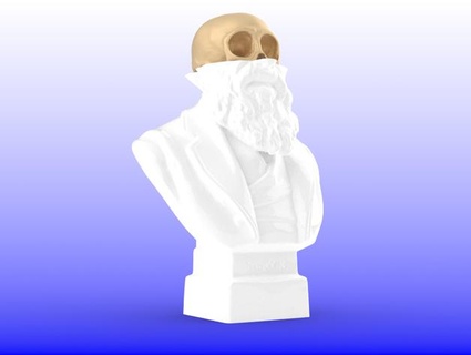 Darwin crânio 01 bongle 3d print model - Mito3D