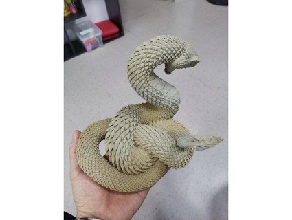 çıngıraklı yılan uşak 3d print model - Mito3D