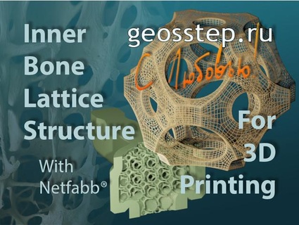 interno osso reticolo struttura 1geos 3d print model - Mito3D