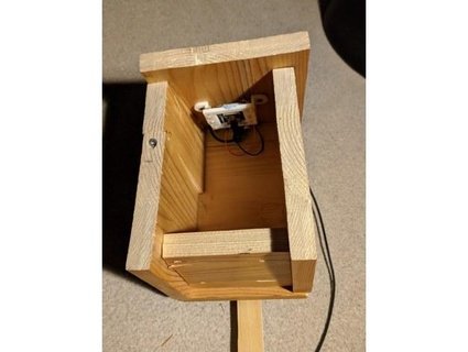 esp32 cam soporte pájaro anidando cajas chica creadora 3d print model - Mito3D