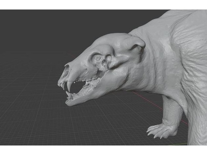 annihilation bear creature notonland 3d print model - Mito3D