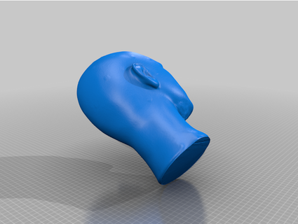 borracha cabeça modelo gerado revopoint pop 3d print model - Mito3D