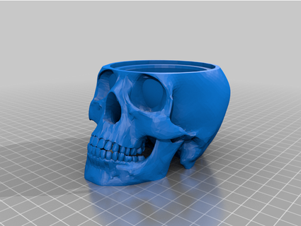 skull lid top cuyler baldwin 3d print model - Mito3D