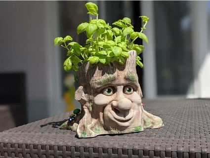 cartoon-style tree face planter creaturesandtheming 3d print model - Mito3D