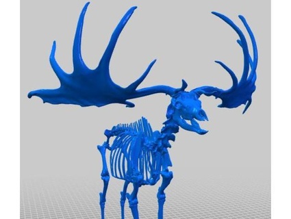 gigante ciervo esqueleto natural historia museo viena enzi1984 3d print model - Mito3D