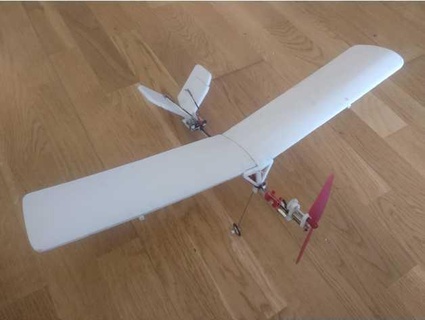 wasp - rc lightweight plane raavhimself 3d print model - Mito3D