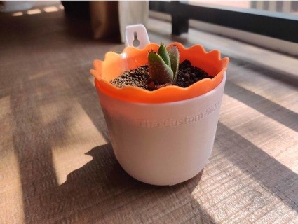 wall mounted self watering planter custom side 3d print model - Mito3D