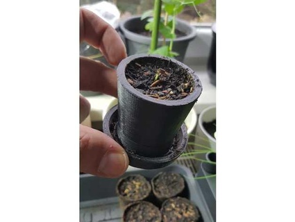 plante pot plat 3d print model - Mito3D