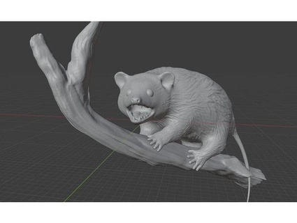 opossum branch notonland 3d print model - Mito3D