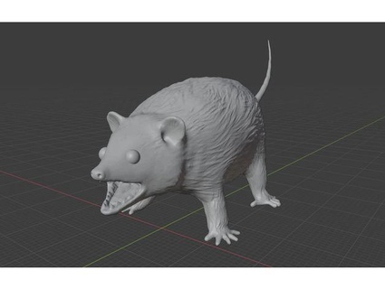 sifflant opossum terre 3d print model - Mito3D