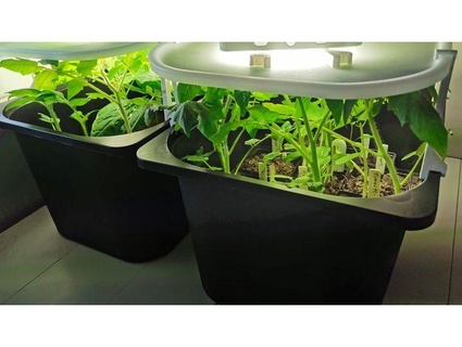 seedling greenhouse ikea trofast baze 3d print model - Mito3D