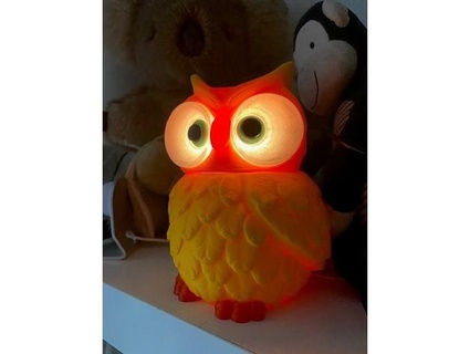 multi coloured owl lights neopixel lights micahjj  3d print model - Mito3D