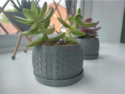 succulent planter - honeycomb design jamesy1 3d print model - Mito3D