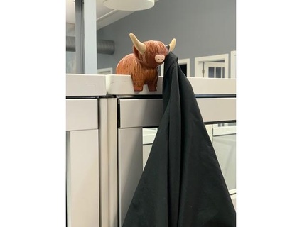 coo coat hanger cubicle highland jdalycache 3d print model - Mito3D