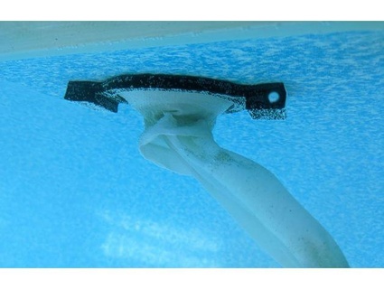 manyetik dönüş filtre zemin havuz hipnoz 3d print model - Mito3D