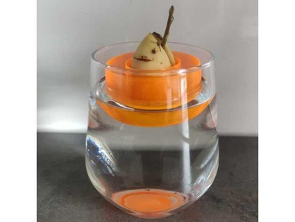avocado boat - minimalistic vase mode lukki15 3d print model - Mito3D