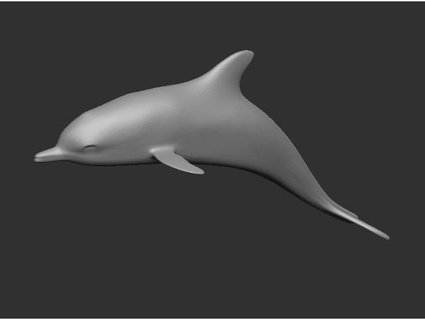 dolphin model rkxone 3d print model - Mito3D