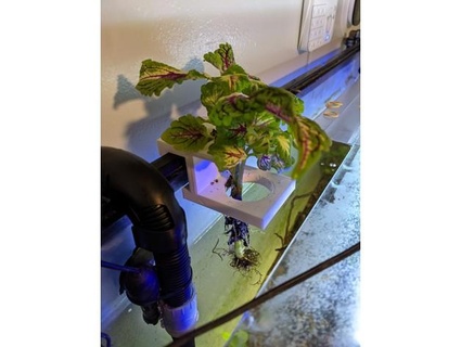aquarium plant hanger jagwirej 3d print model - Mito3D