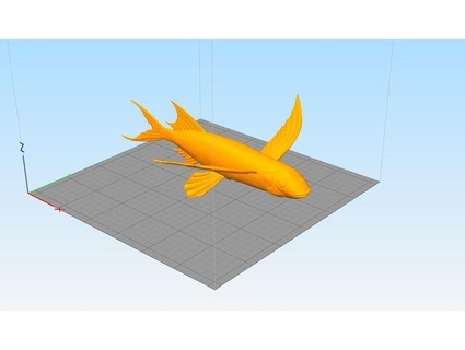 pez vôo urbarquitectura 3d print model - Mito3D