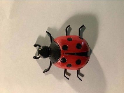 ladybug mrbillv56 3d print model - Mito3D