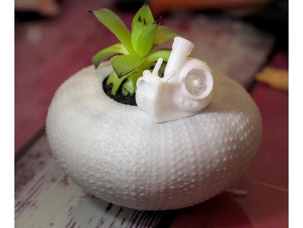sea urchin planter piezoid 3d print model - Mito3D