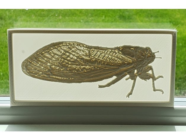 cicada - lithopane 01 mm layer resolution tc fea 3D print model - Mito3D