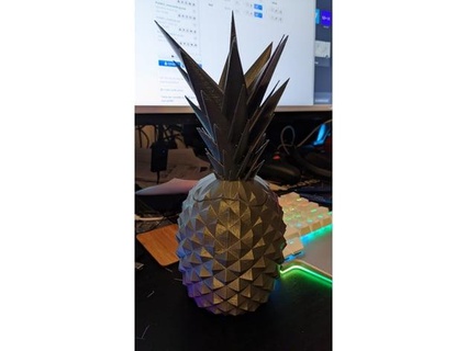 pineapple container drwilco 3d print model - Mito3D