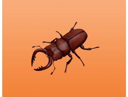 sawtooth stag beetle dot-kit 3d print model - Mito3D