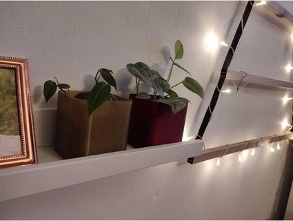plantation pot Ikea mosslanda denispe 3d print model - Mito3D