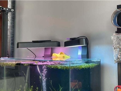 Phillips lumière bar aquarium monter impression floue 3d print model - Mito3D