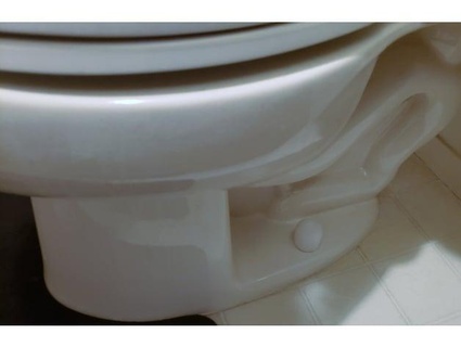 toilet bolt cap thatoneruffian 3d print model - Mito3D