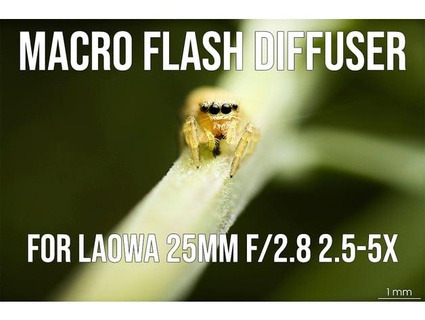 macro flash diffuser adapter ring laowa 25mm f 28 25-5x austinanywhere 3d print model - Mito3D