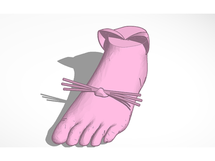 foot cat riley perfectteddybear 3d print model - Mito3D