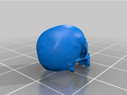 cráneo fotogrametría luca cerru 77 3d print model - Mito3D
