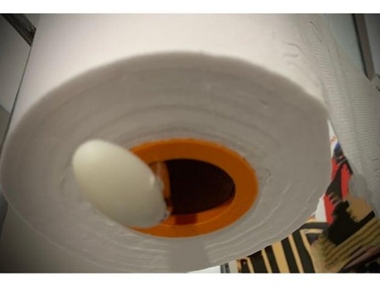 tuvalet kağıt yüzük tekotavyo 3d print model - Mito3D