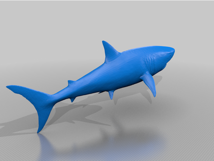 shark willpurdie76 3d print model - Mito3D