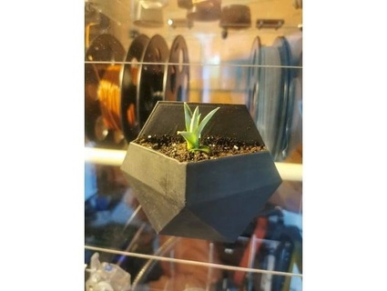 succulent pot moshemall 3d print model - Mito3D