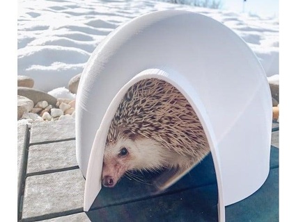 hedgehog igloo hideout house clickandcompany 3d print model - Mito3D