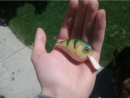 crankbait facile impression seigneurjeffery 3d print model - Mito3D