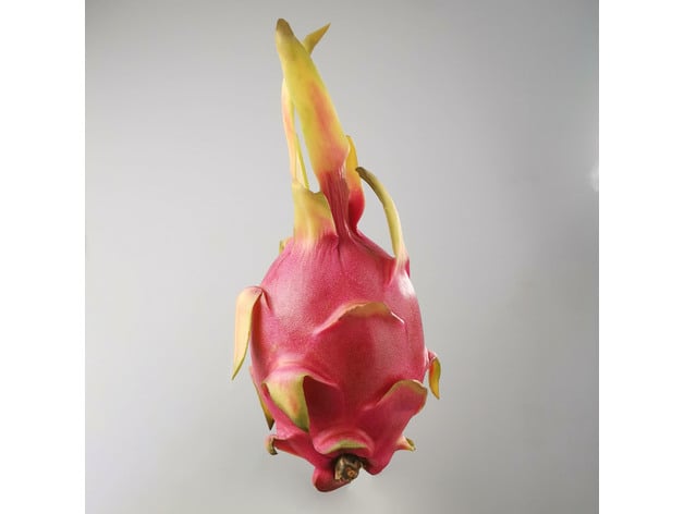 Ejderha fruit pitaya oluşturulmuş revopoint pop 3D print model - Mito3D