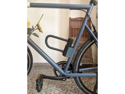 u-lock mount bike springsteen 3d print model - Mito3D