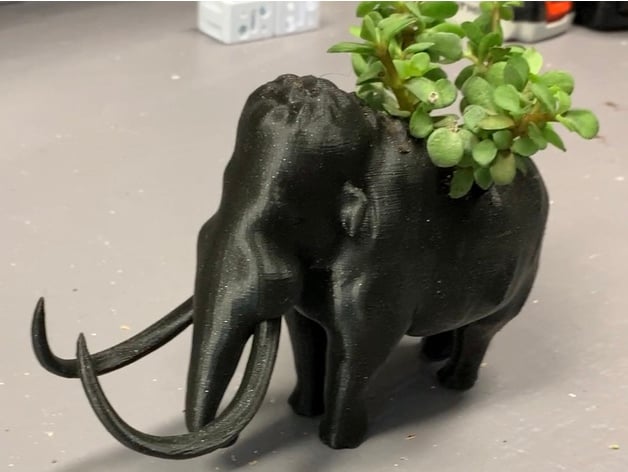 wooly mammoth succulent planter daddyboomalati 3D print model - Mito3D