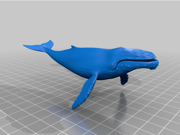 humpback whale xenomorph636 3D print model - Mito3D