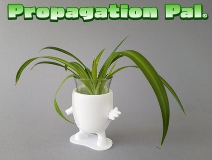 propagation copain choco 3d print model - Mito3D